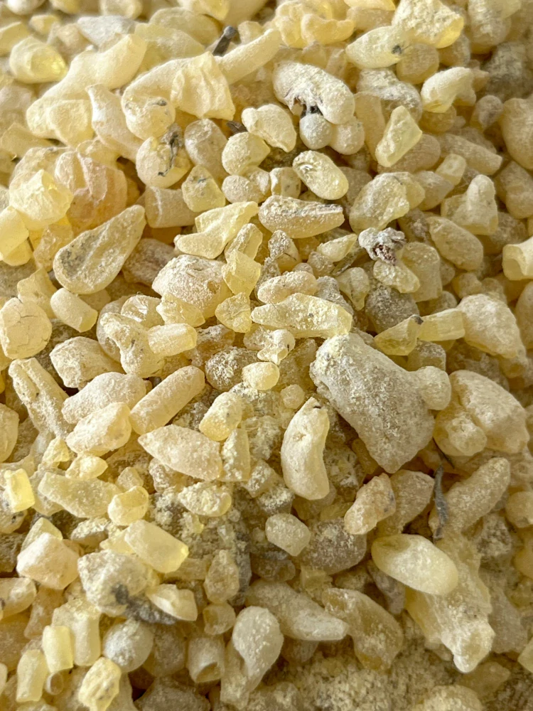 Sandarak z Maroka, 500g